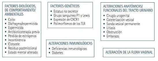 Imagen 9