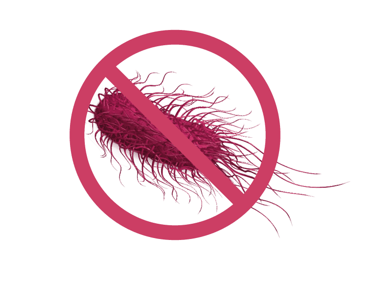 Bacteria e-coli
